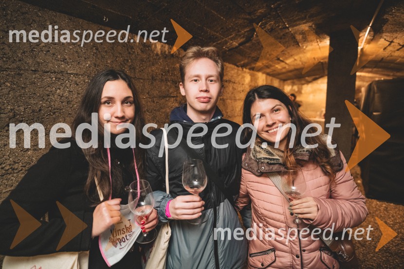 Vinska pot v rovih pod starim Kranjem, drugi petek