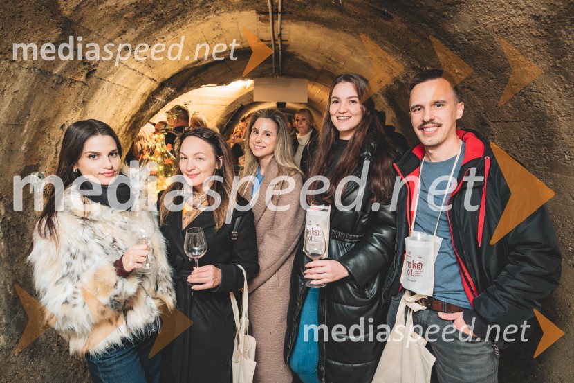 Vinska pot v rovih pod starim Kranjem, drugi petek