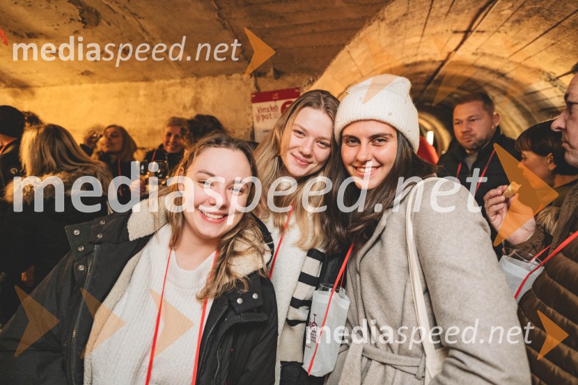 Vinska pot v rovih pod starim Kranjem, drugi petek