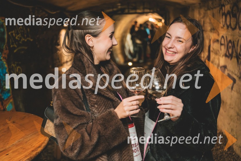 Vinska pot v rovih pod starim Kranjem, drugi petek