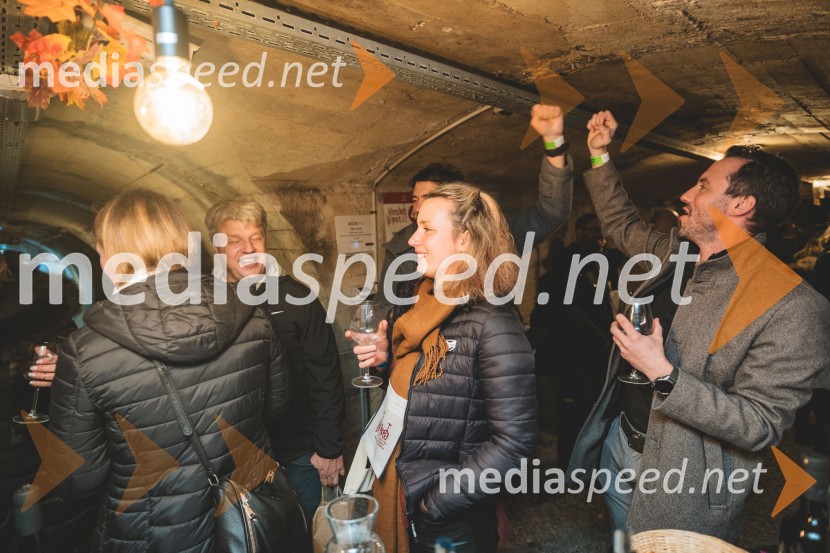 Vinska pot v rovih pod starim Kranjem, drugi petek