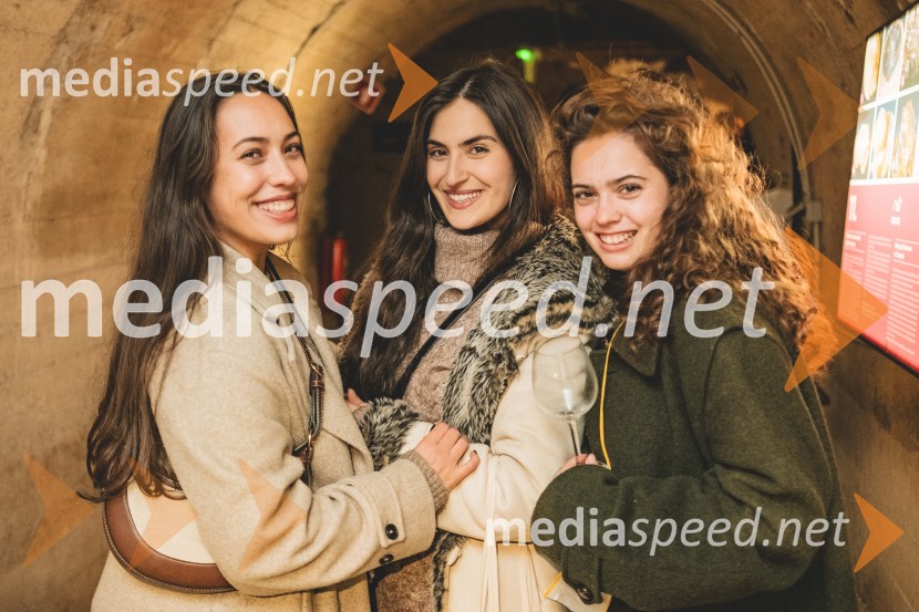 Vinska pot v rovih pod starim Kranjem, drugi petek