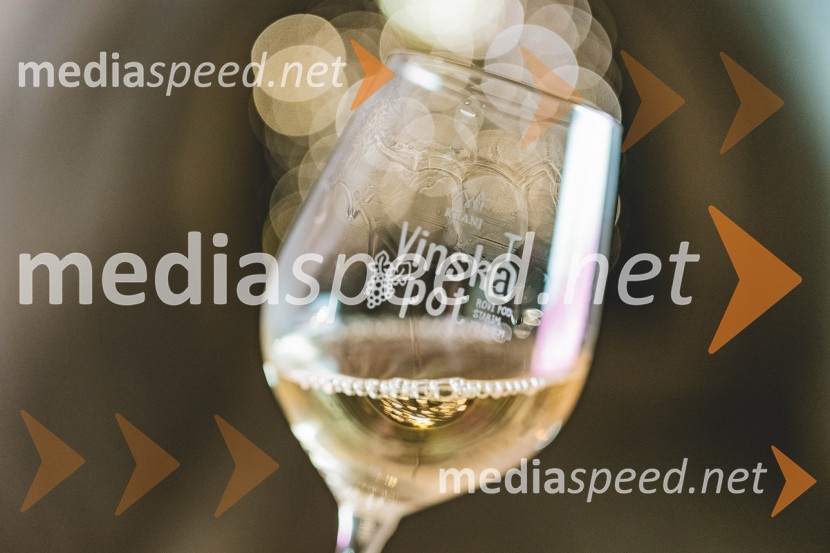 Vinska pot v rovih pod starim Kranjem 2025, druga sobota