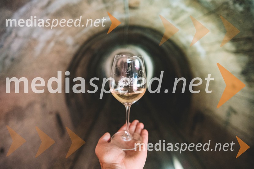 Vinska pot v rovih pod starim Kranjem 2025, druga sobota