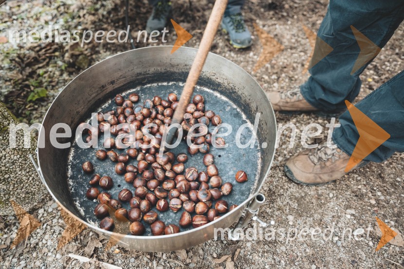 Vinska pot v rovih pod starim Kranjem 2025, druga sobota