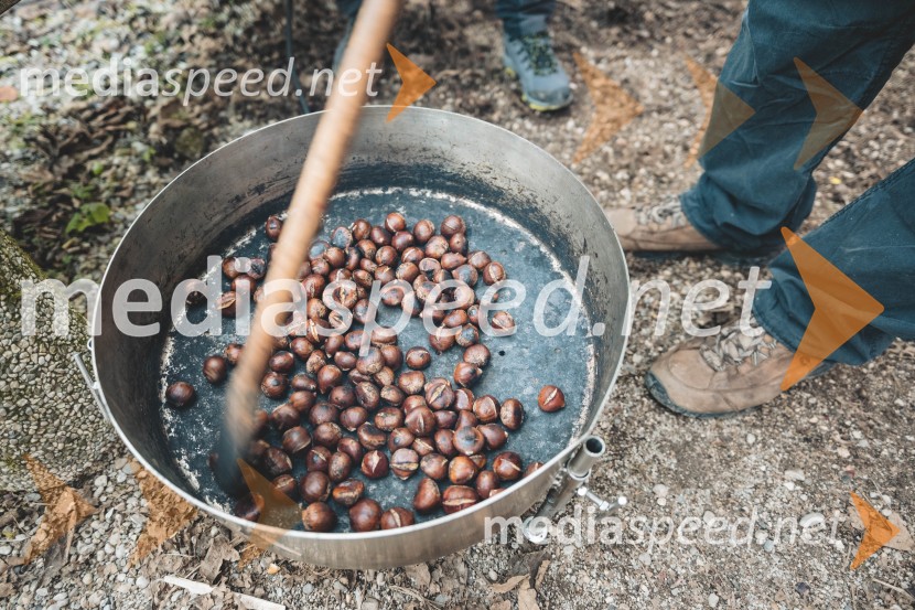Vinska pot v rovih pod starim Kranjem 2025, druga sobota