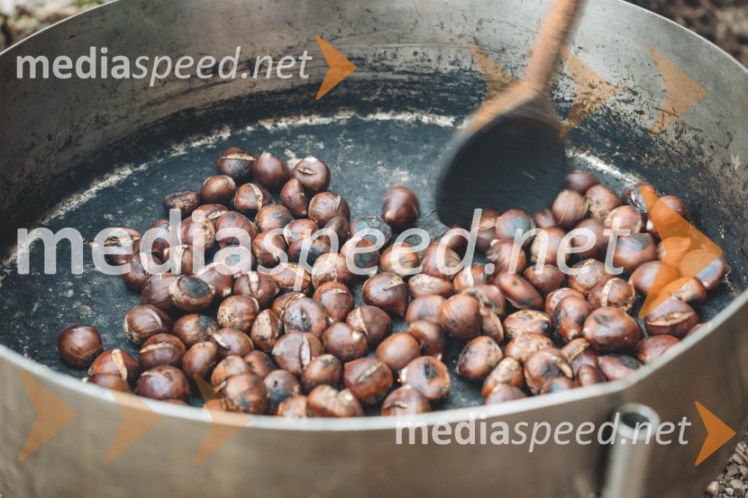 Vinska pot v rovih pod starim Kranjem 2025, druga sobota