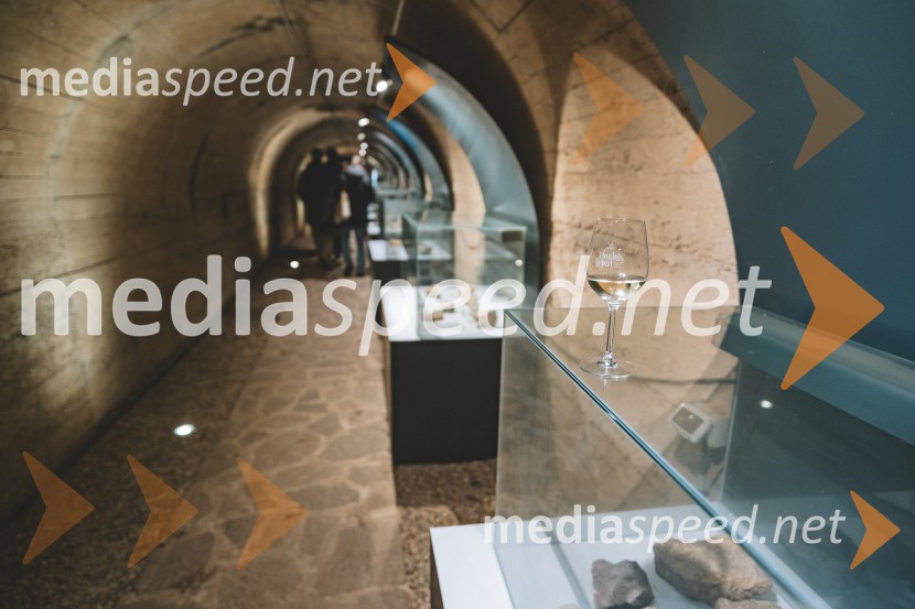 Vinska pot v rovih pod starim Kranjem 2025, druga sobota