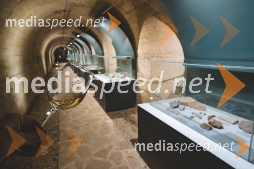 Vinska pot v rovih pod starim Kranjem 2025, druga sobota