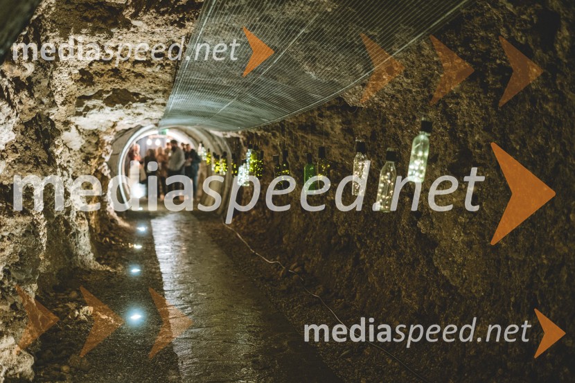 Vinska pot v rovih pod starim Kranjem 2025, druga sobota