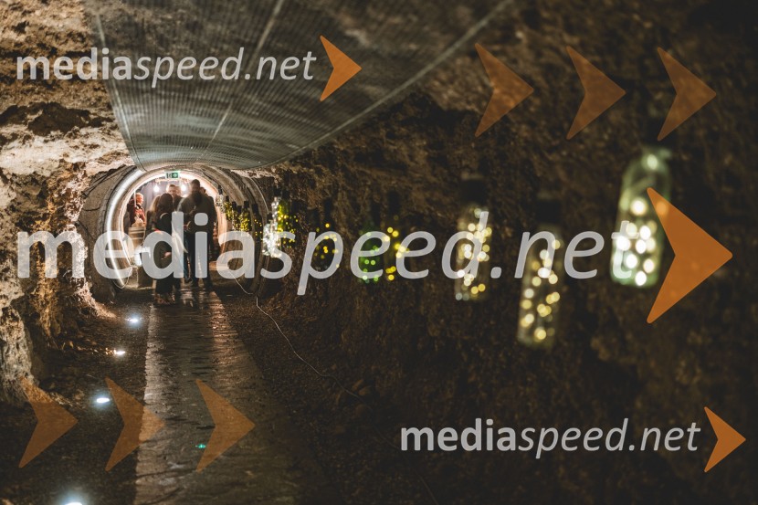 Vinska pot v rovih pod starim Kranjem 2025, druga sobota