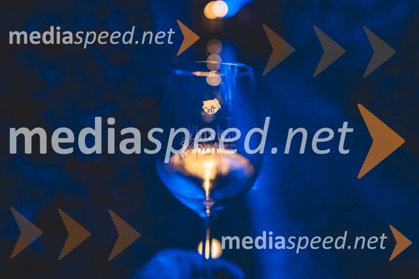 Vinska pot v rovih pod starim Kranjem 2025, druga sobota