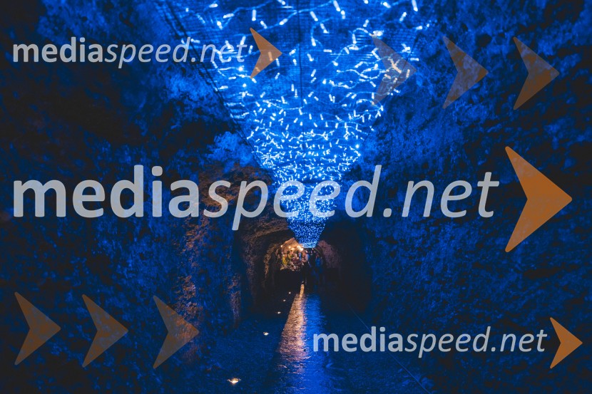 Vinska pot v rovih pod starim Kranjem 2025, druga sobota