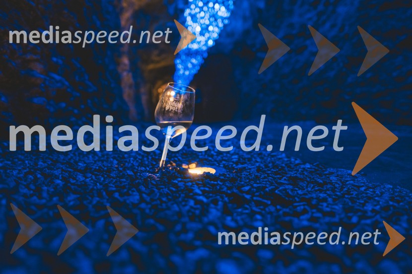 Vinska pot v rovih pod starim Kranjem 2025, druga sobota