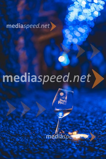 Vinska pot v rovih pod starim Kranjem 2025, druga sobota