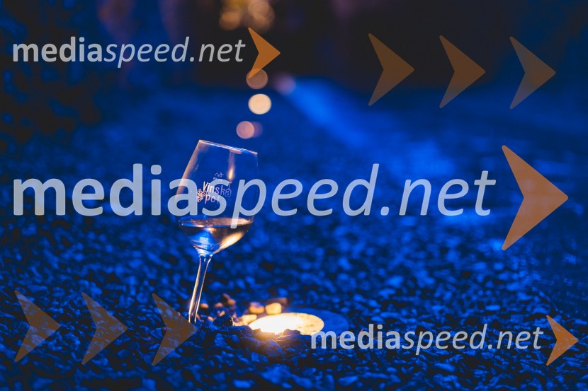 Vinska pot v rovih pod starim Kranjem 2025, druga sobota