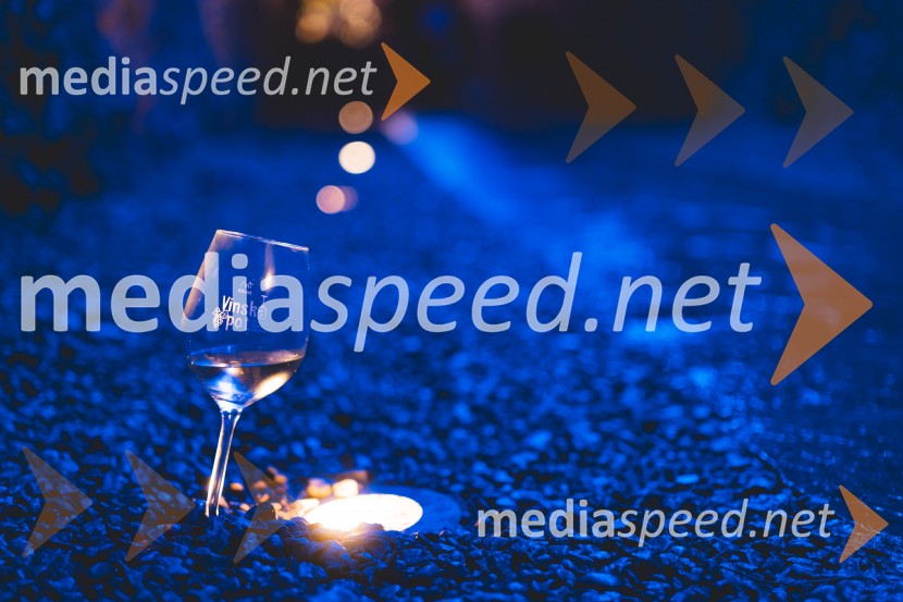 Vinska pot v rovih pod starim Kranjem 2025, druga sobota