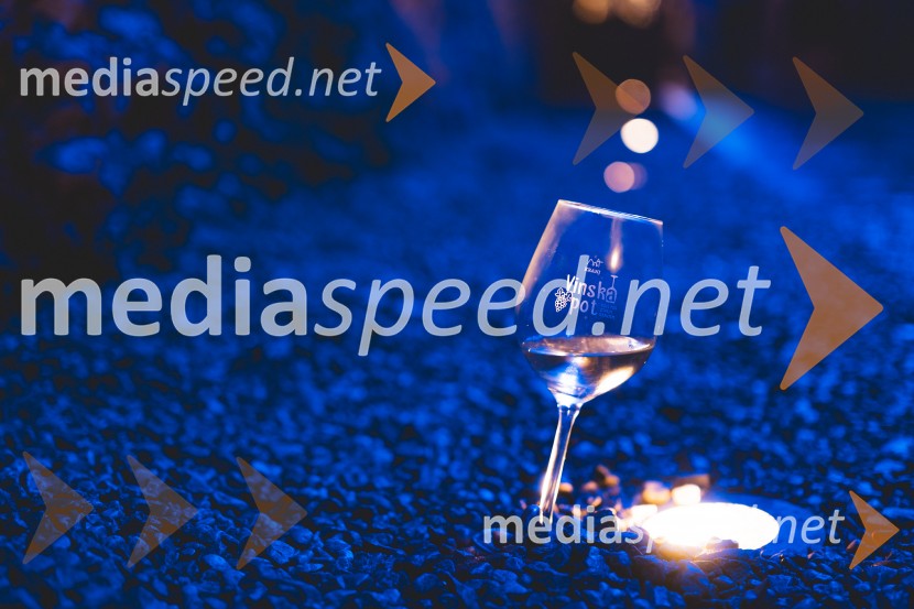 Vinska pot v rovih pod starim Kranjem 2025, druga sobota