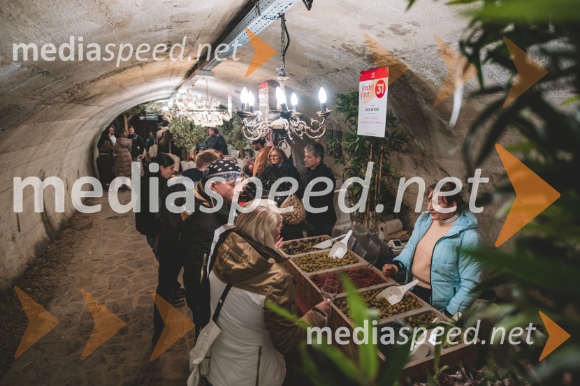 Vinska pot v rovih pod starim Kranjem 2025, druga sobota