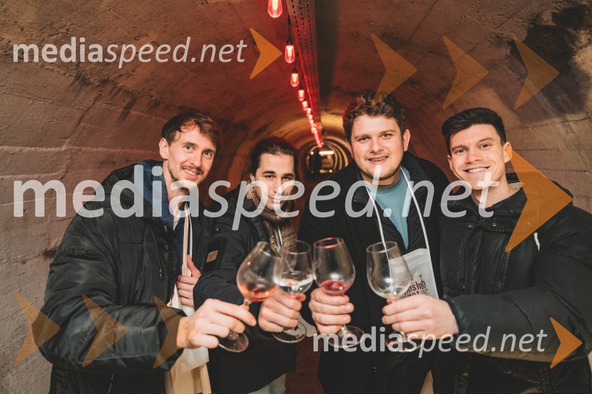 Vinska pot v rovih pod starim Kranjem 2025, druga sobota