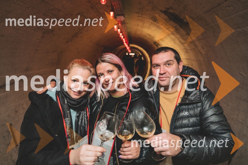 Vinska pot v rovih pod starim Kranjem 2025, druga sobota