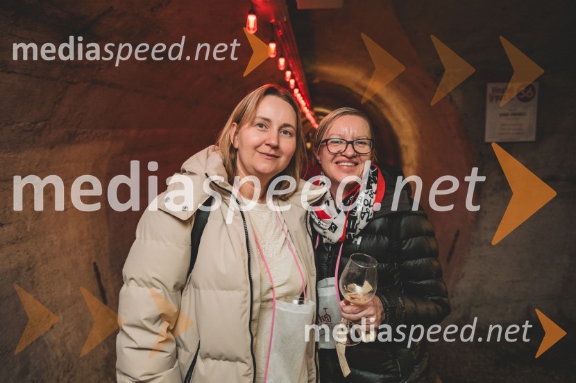 Vinska pot v rovih pod starim Kranjem 2025, druga sobota