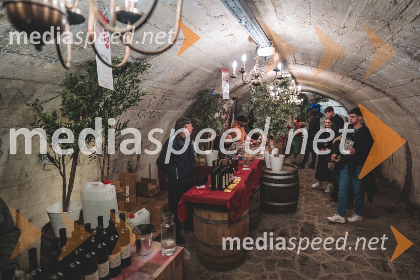 Vinska pot v rovih pod starim Kranjem 2025, druga sobota