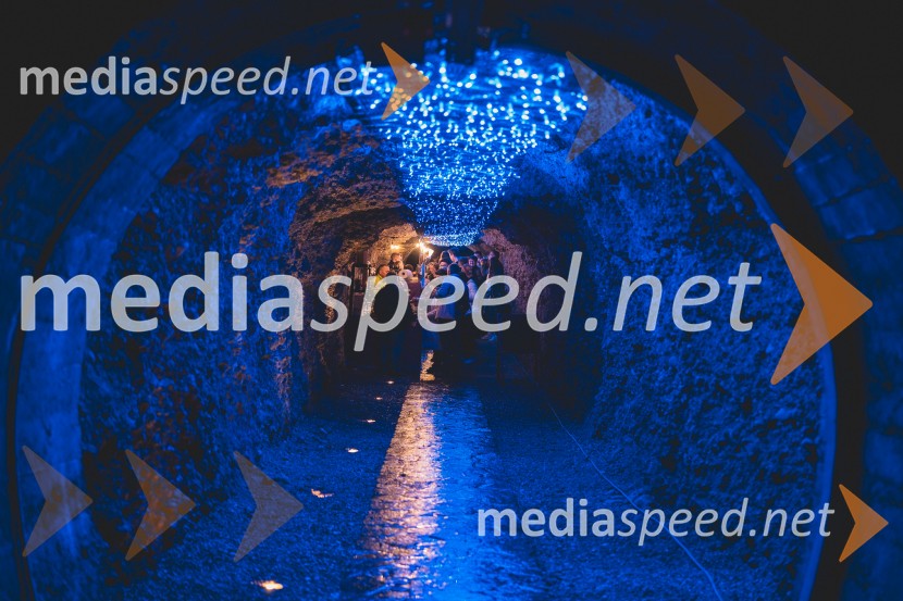 Vinska pot v rovih pod starim Kranjem 2025, druga sobota