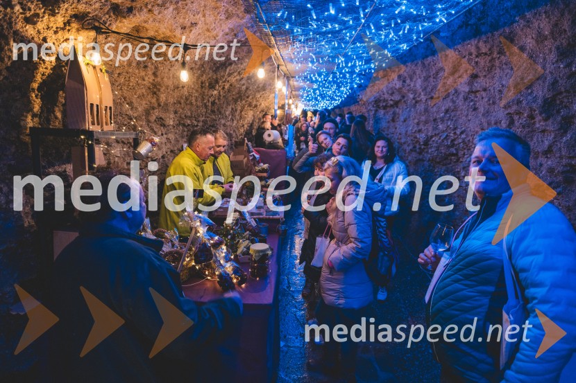 Vinska pot v rovih pod starim Kranjem 2025, druga sobota