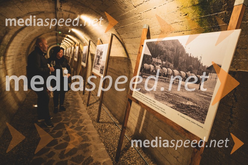 Vinska pot v rovih pod starim Kranjem 2025, druga sobota