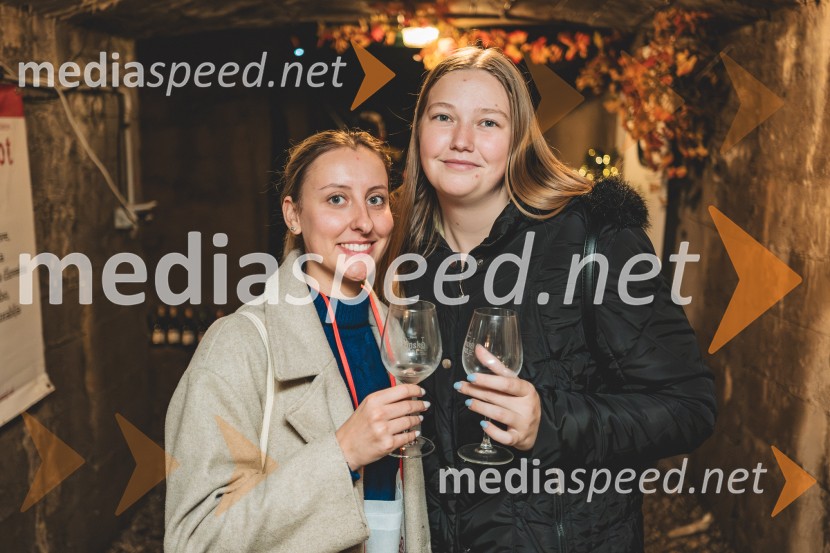 Vinska pot v rovih pod starim Kranjem 2025, druga sobota