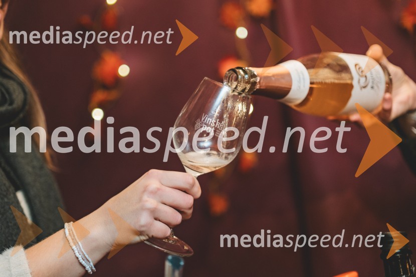 Vinska pot v rovih pod starim Kranjem 2025, druga sobota