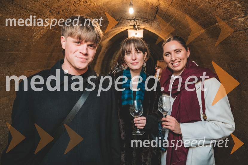 Vinska pot v rovih pod starim Kranjem 2025, druga sobota