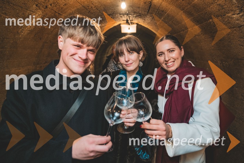 Vinska pot v rovih pod starim Kranjem 2025, druga sobota