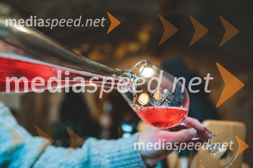 Vinska pot v rovih pod starim Kranjem 2025, druga sobota