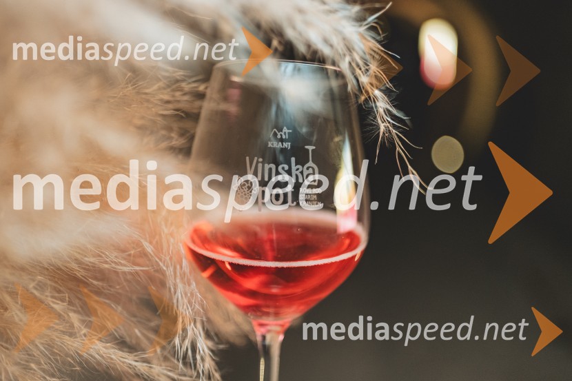 Vinska pot v rovih pod starim Kranjem 2025, druga sobota