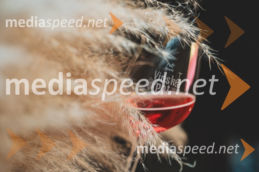 Vinska pot v rovih pod starim Kranjem 2025, druga sobota