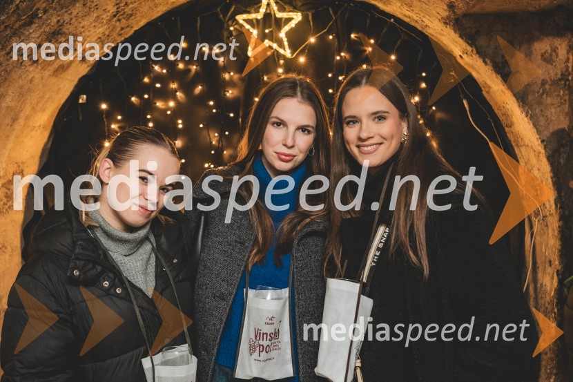 Vinska pot v rovih pod starim Kranjem 2025, druga sobota