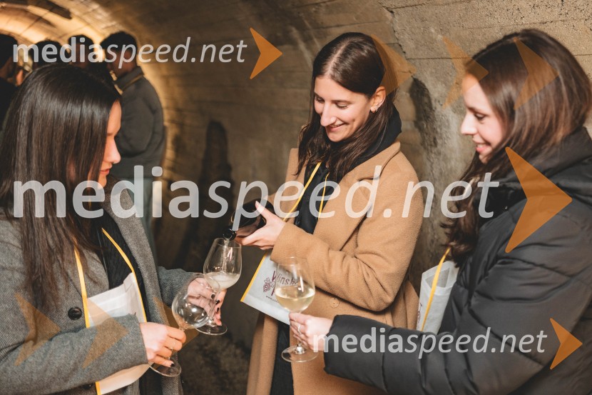 Vinska pot v rovih pod starim Kranjem 2025, druga sobota