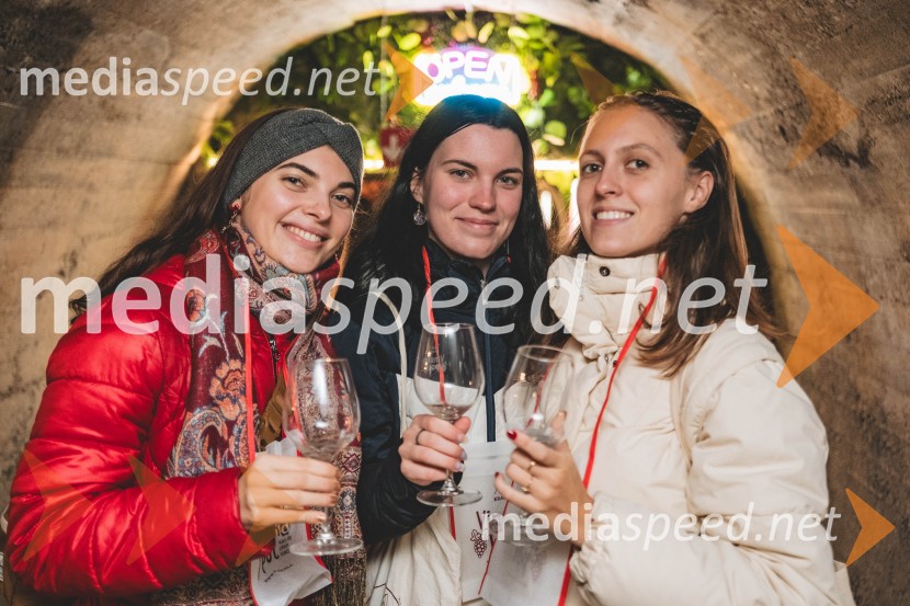 Vinska pot v rovih pod starim Kranjem 2025, druga sobota