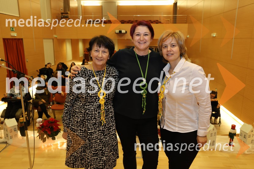 Namesto pike vejica, 15. obletnica delovanja društva