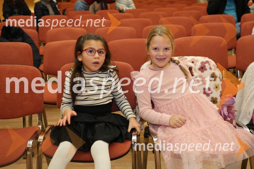 Namesto pike vejica, 15. obletnica delovanja društva