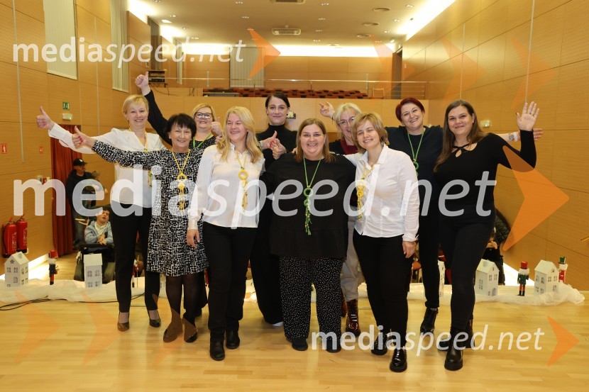 Namesto pike vejica, 15. obletnica delovanja društva