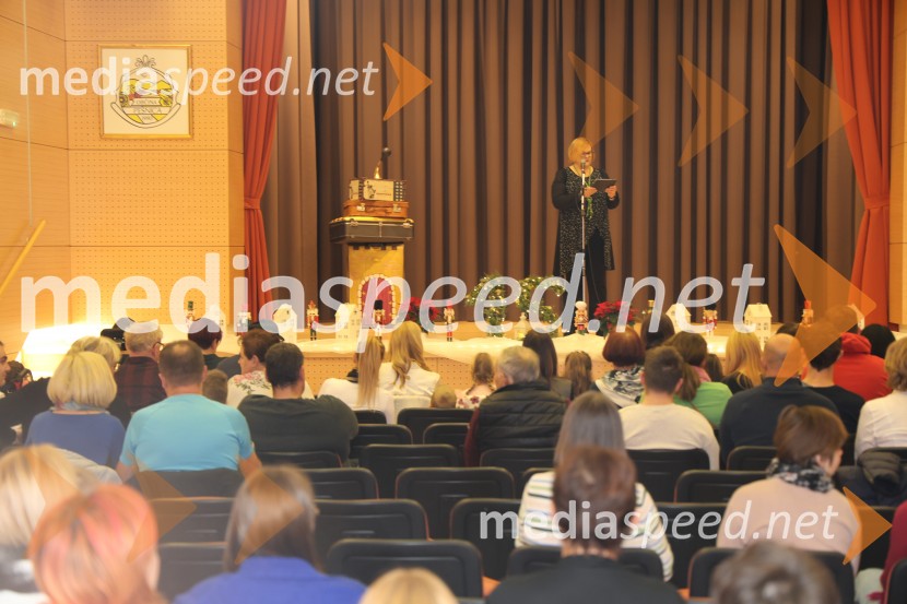 Namesto pike vejica, 15. obletnica delovanja društva