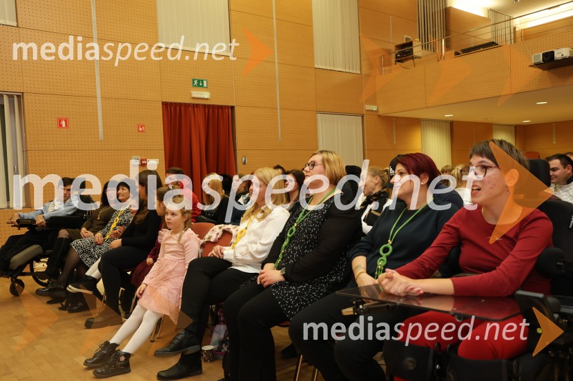 Namesto pike vejica, 15. obletnica delovanja društva