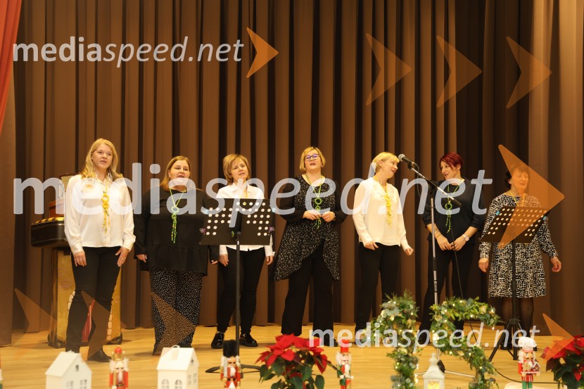 Namesto pike vejica, 15. obletnica delovanja društva