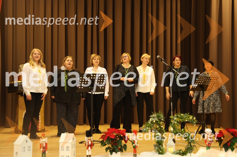 Namesto pike vejica, 15. obletnica delovanja društva