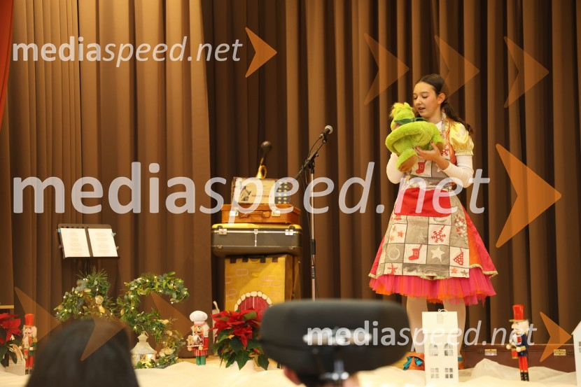 Namesto pike vejica, 15. obletnica delovanja društva