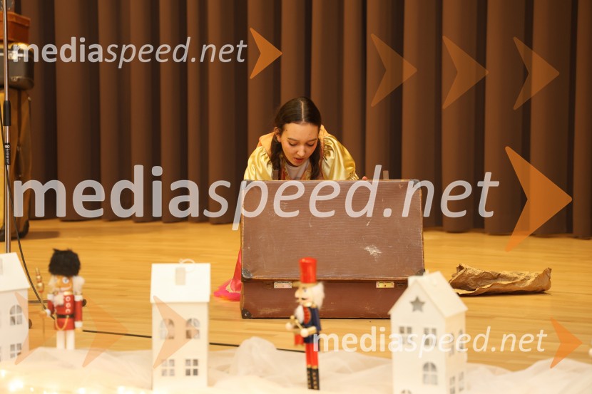 Namesto pike vejica, 15. obletnica delovanja društva