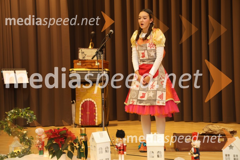 Namesto pike vejica, 15. obletnica delovanja društva